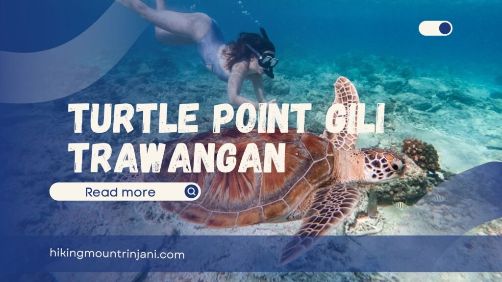 Turtle Point Gili Trawangan