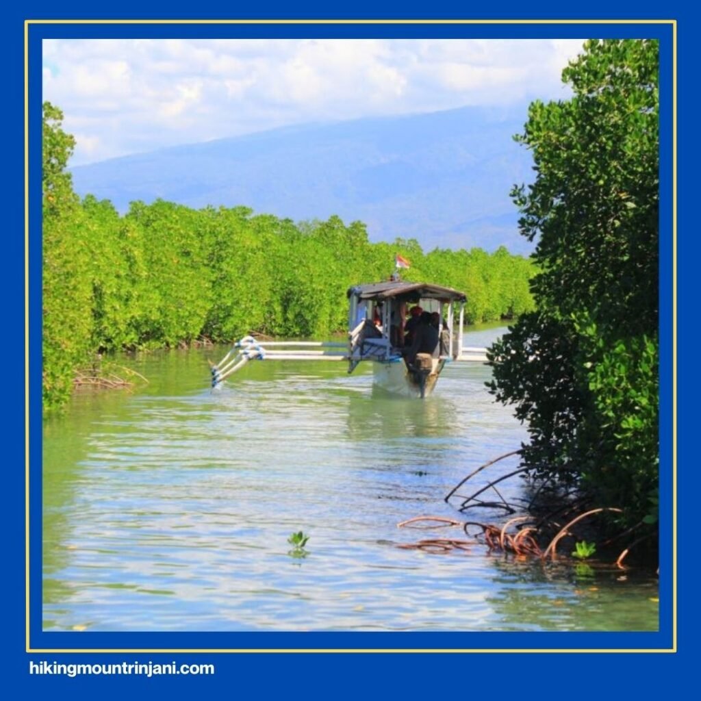 Gili Petagan
