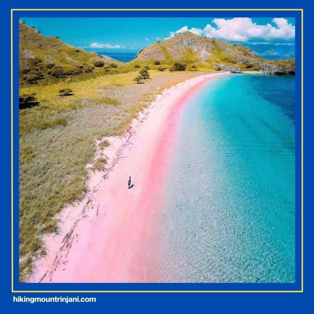 Pink Beach (Pantai Tangsi)