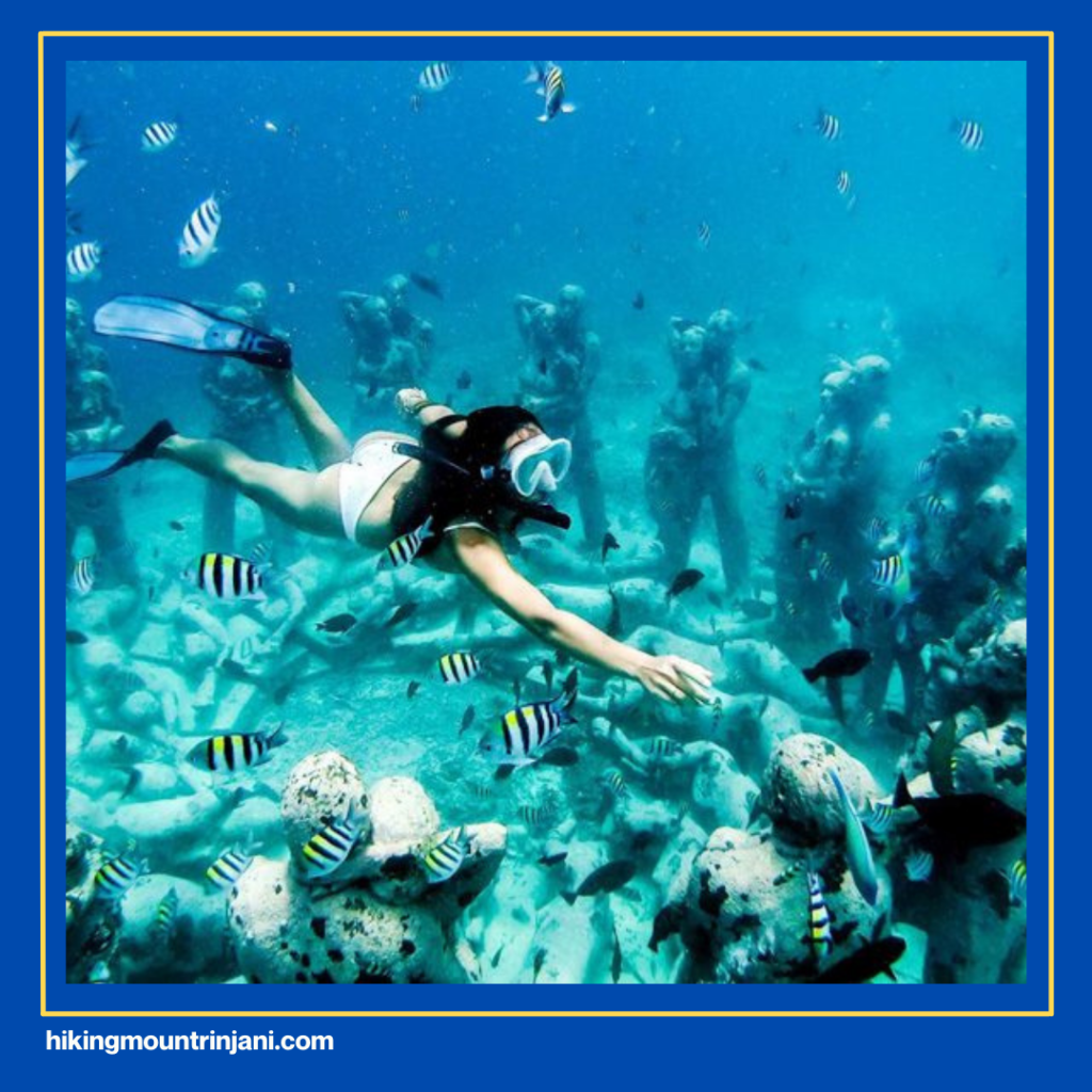 Snorkeling & Diving