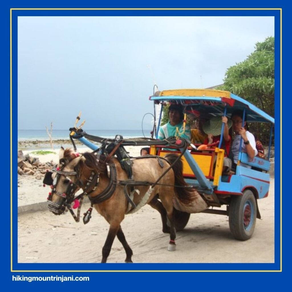 Horse-Drawn Carriage (Cidomo) Tour