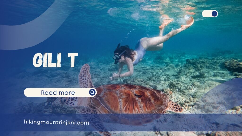 Gili T