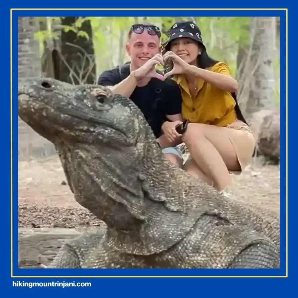 Komodo National Park