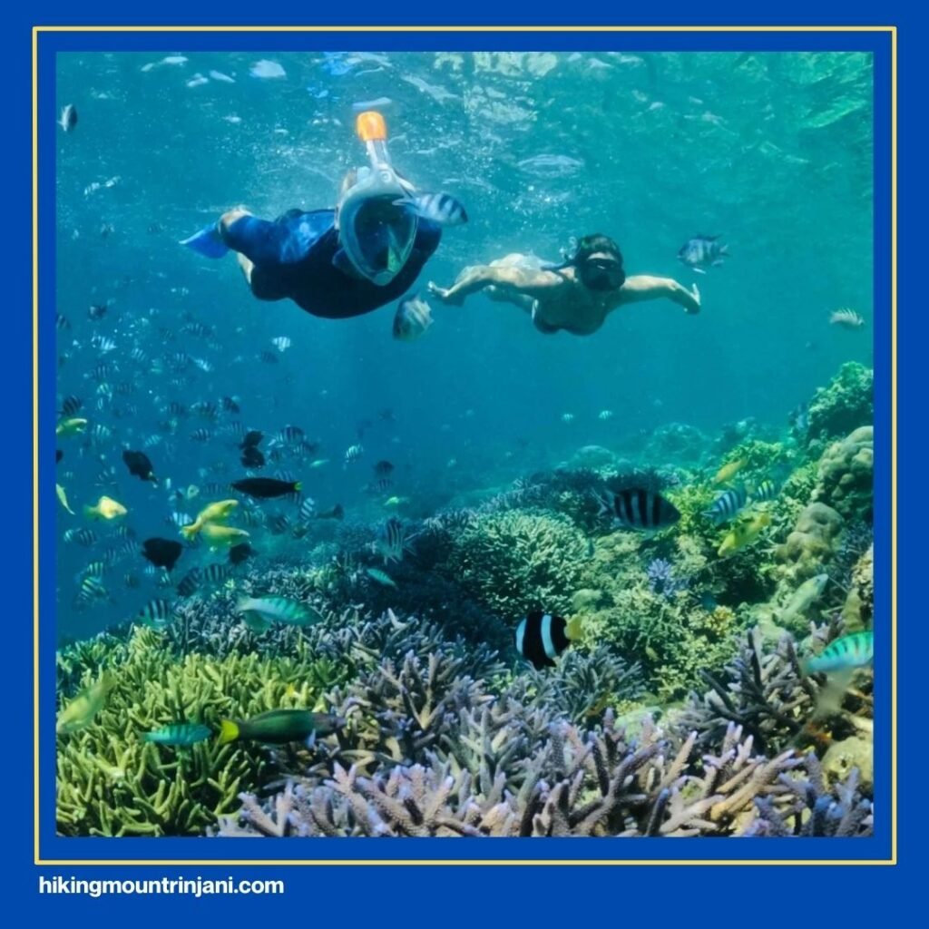 The Hidden Gili's