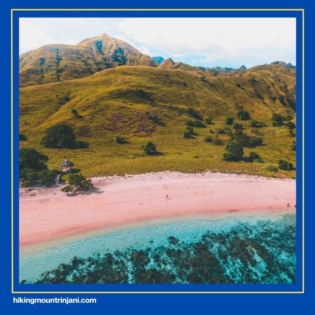 Pink Beach (Pantai Merah)