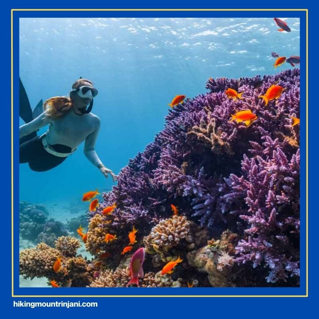 North Gili Trawangan