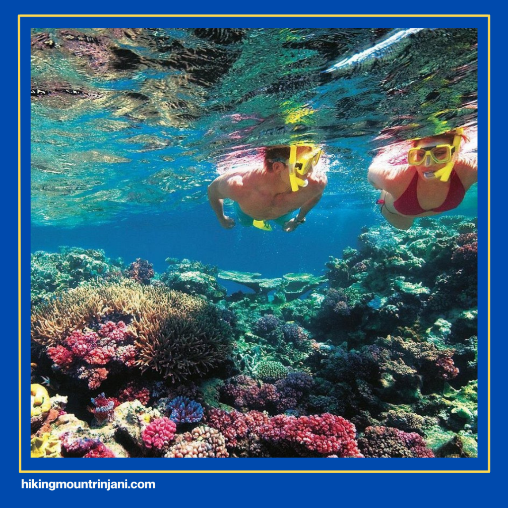 top-tier coral reefs