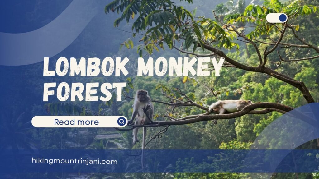 Lombok Monkey Forest