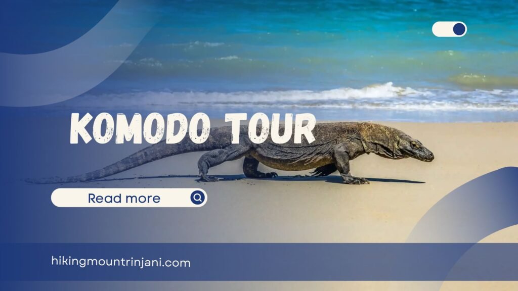 Komodo Tour