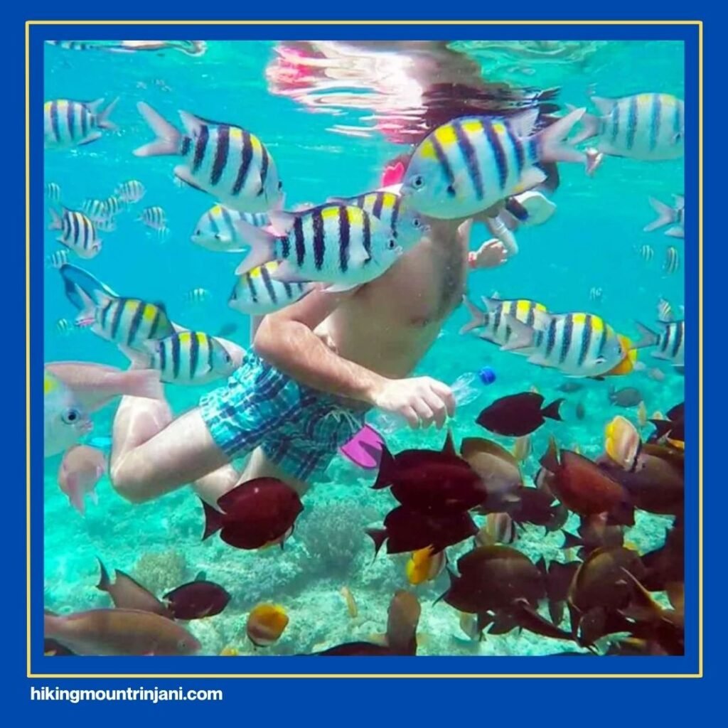 Visit Gili Air