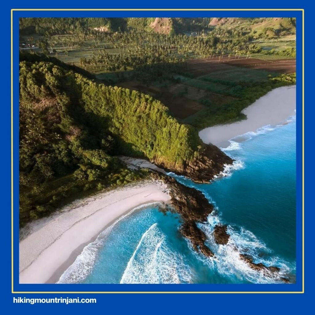 Next Dream Destination