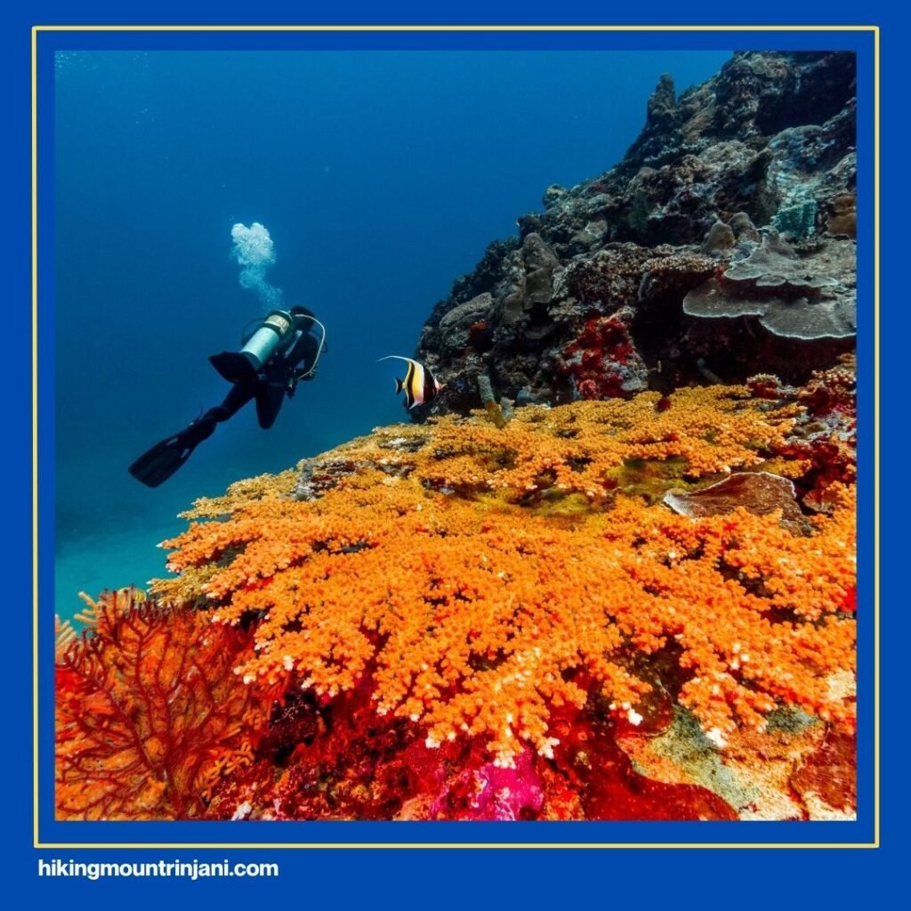 Halik Reef