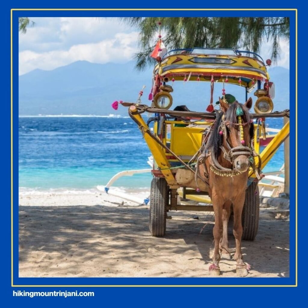 Top Activities and Things to Do in Gili Air