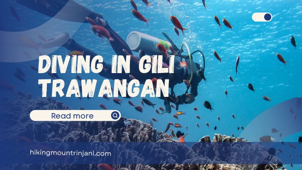 Diving in Gili Trawangan