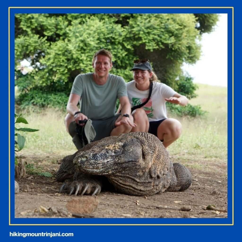 Destinasi Utama dalam Komodo Tour
