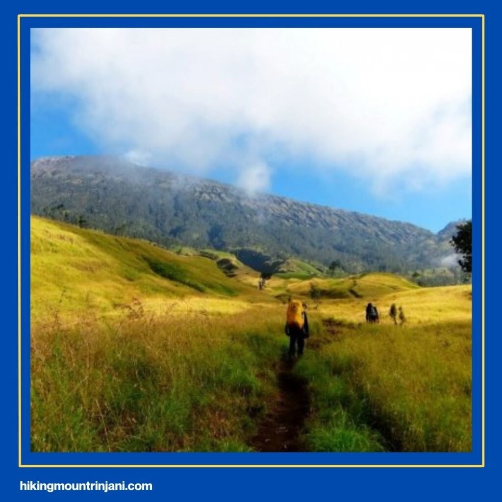 Pendakian Rinjani via Sembalun