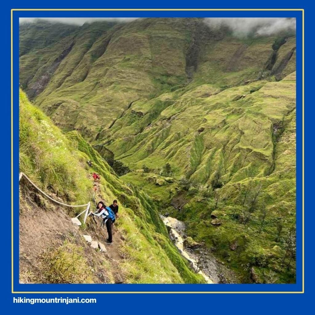 Keindahan Tersembunyi Jalur Torean