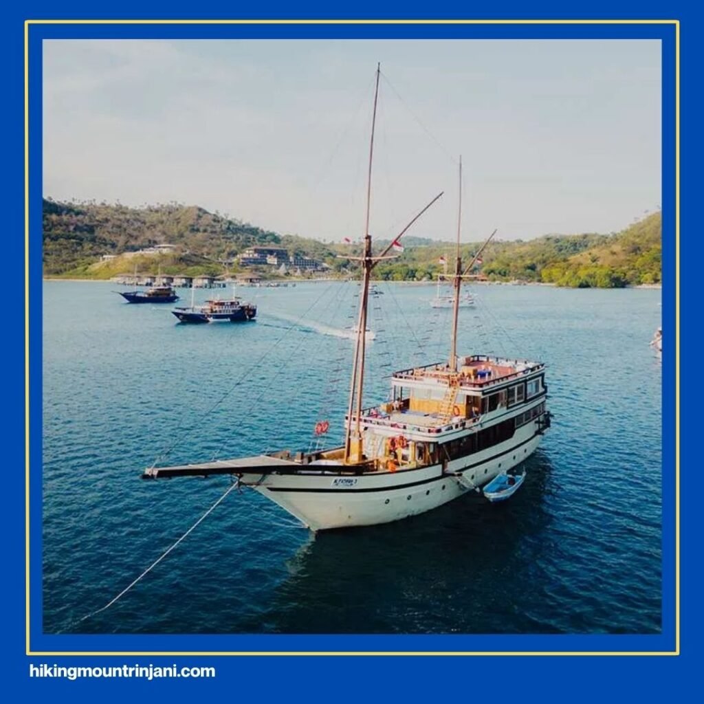 Tips Penting untuk Komodo Tour dari Lombok