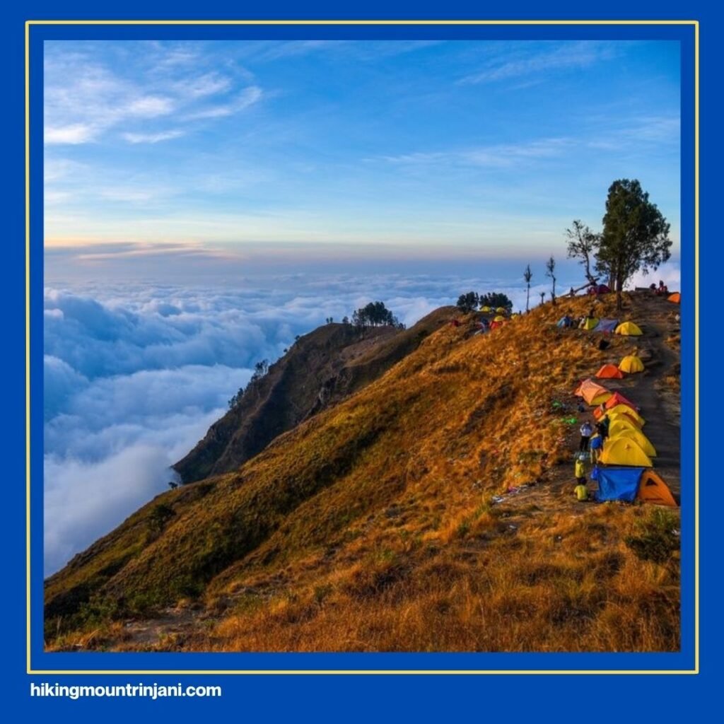 Pesona Tak Terbantahkan dari Gunung Rinjani