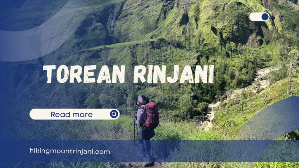 Torean Rinjani