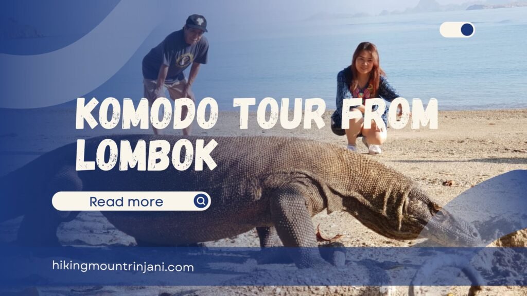 komodo tour from lombok