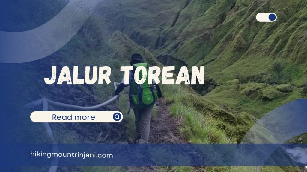 Jalur Torean