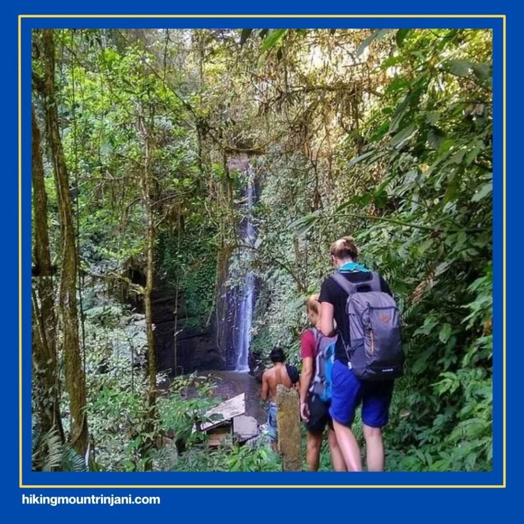 Jalur Tetebatu – Puncak