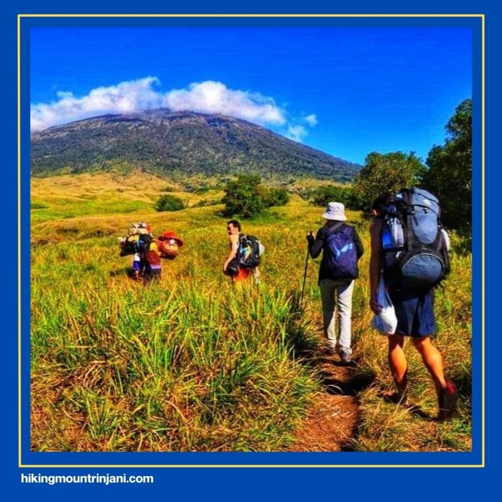 Rute Tersingkat Mendaki Gunung Rinjani Hingga Puncak
