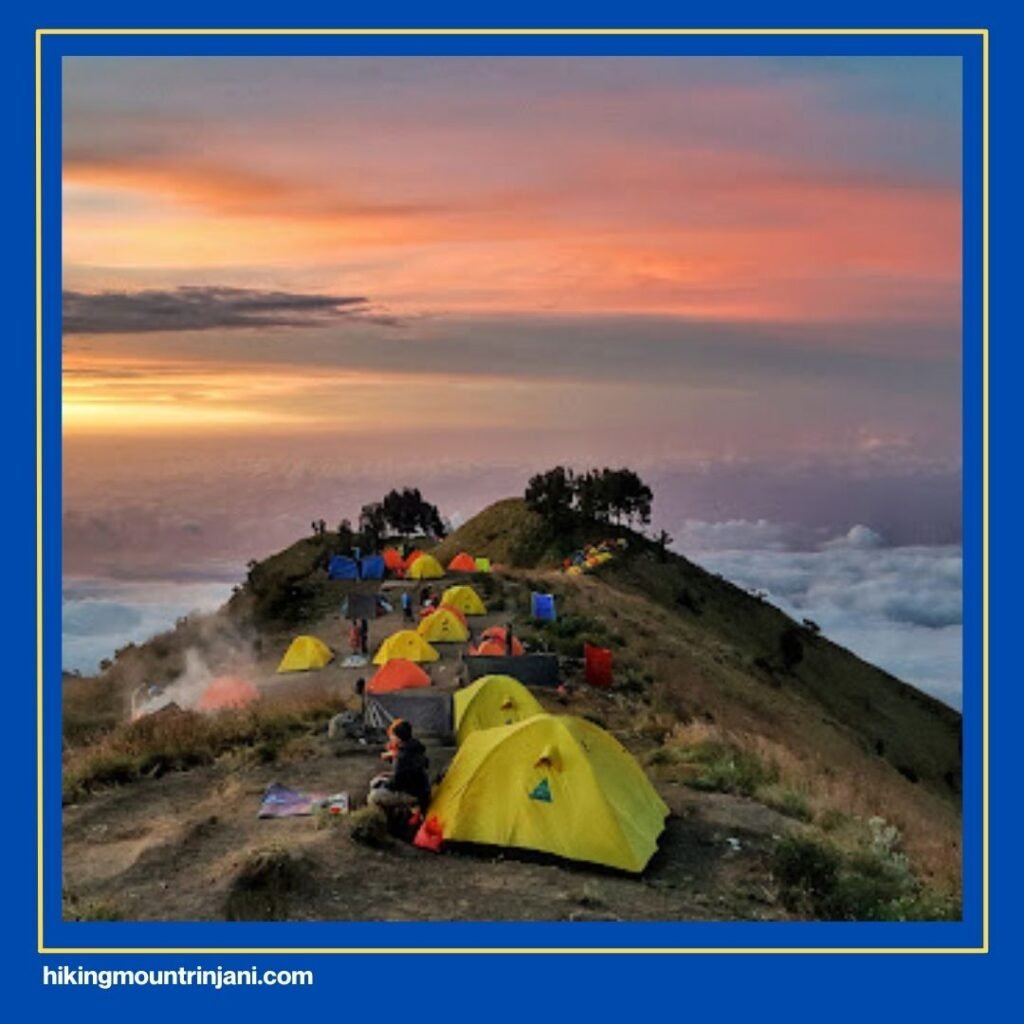 Fungsi Pengajuan Simaksi Gunung Rinjani