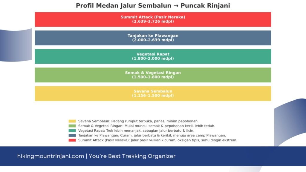 Gambaran Jalur Sembalun Ke Puncak Rinjani