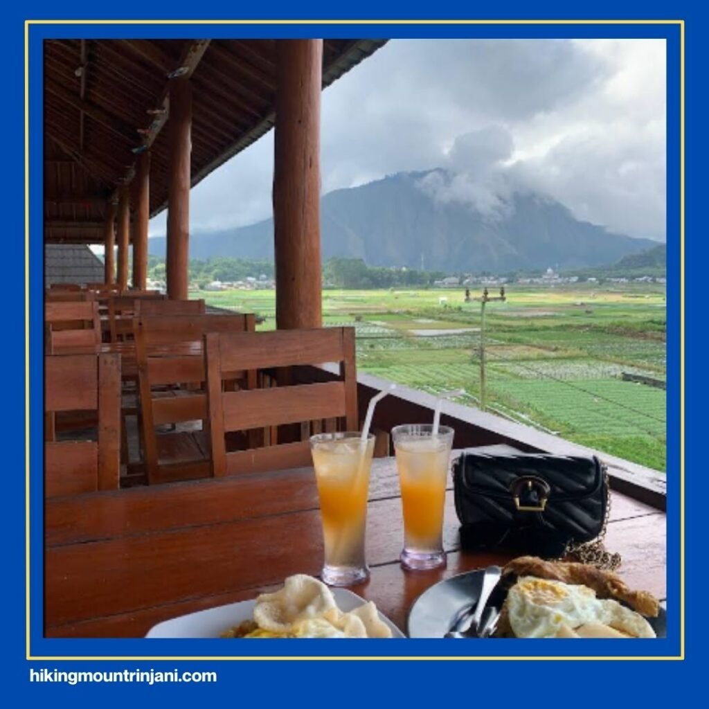 Hotels Near Mount Rinjani “Teras Sawah”