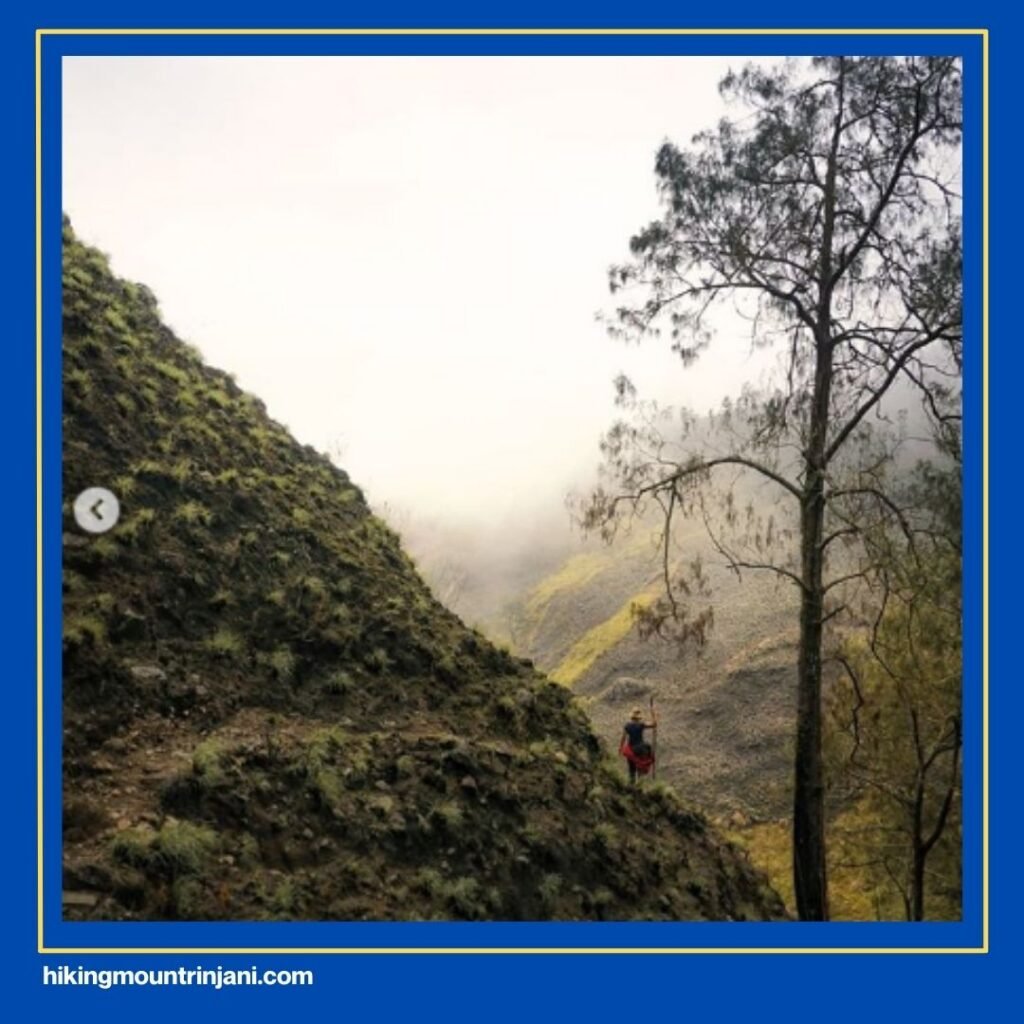 Pendakian Gunung Rinjani Via Aik Berik