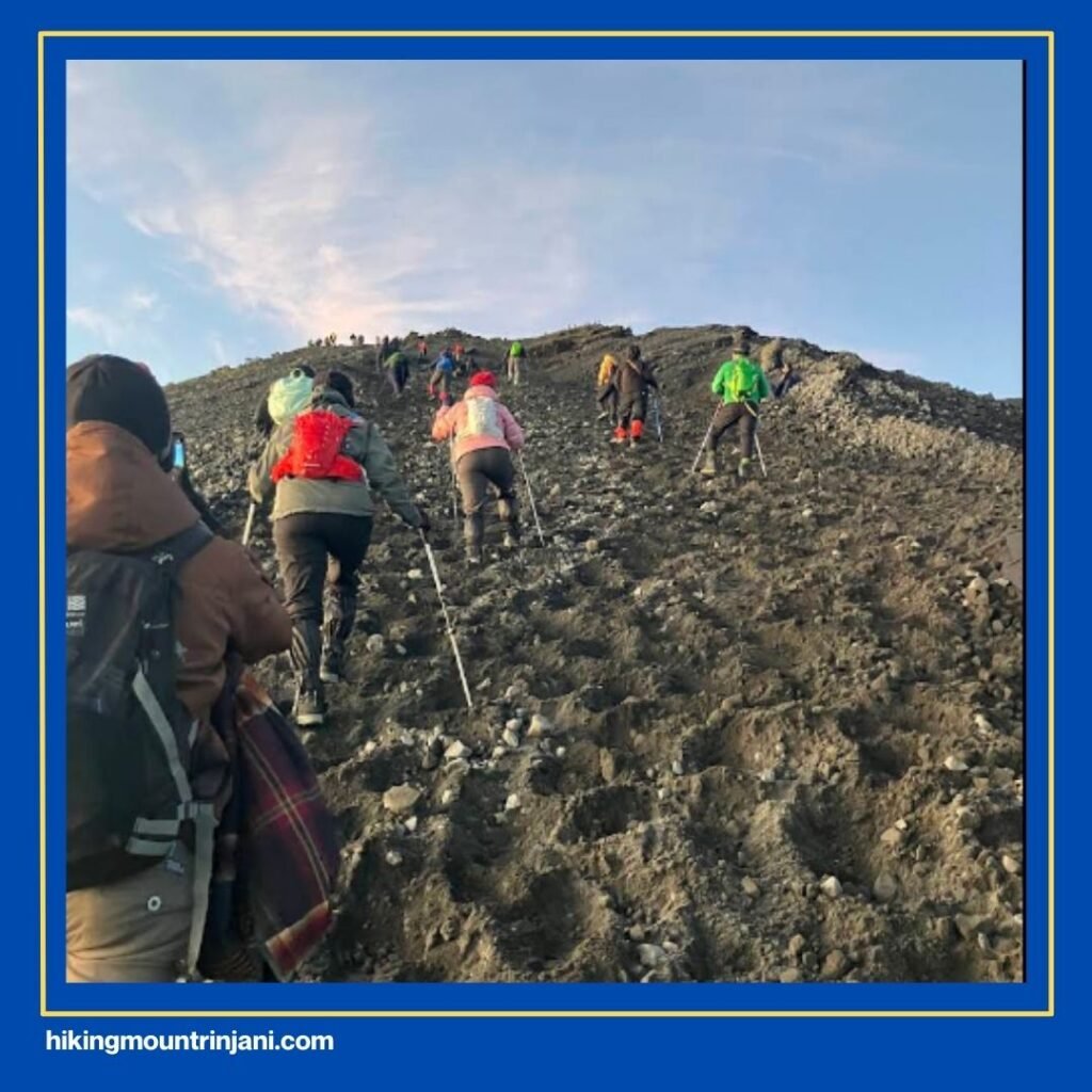 Tantangan Berat di Jalur Rinjani Review By Google Maps