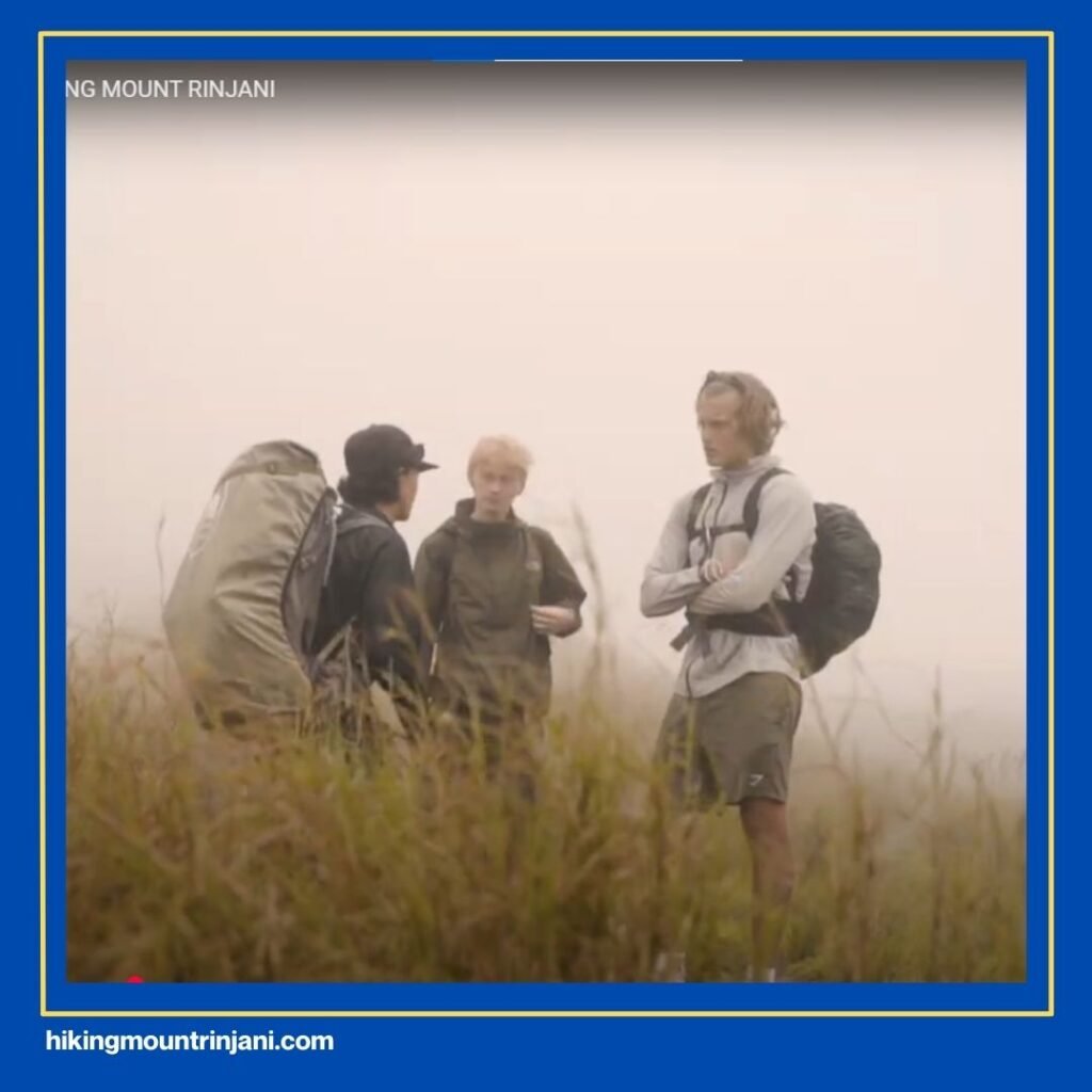 What Makes Hikingmountrinjani.com Stand Out - Rinjani Trekking Tour