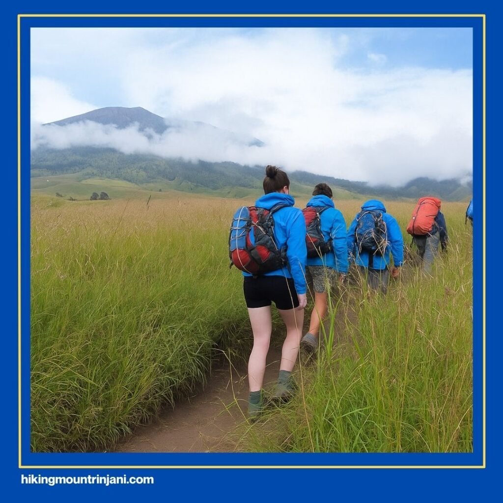 Kondisi Trek di Jalur Sembalun - Hiking Mount Rinjani