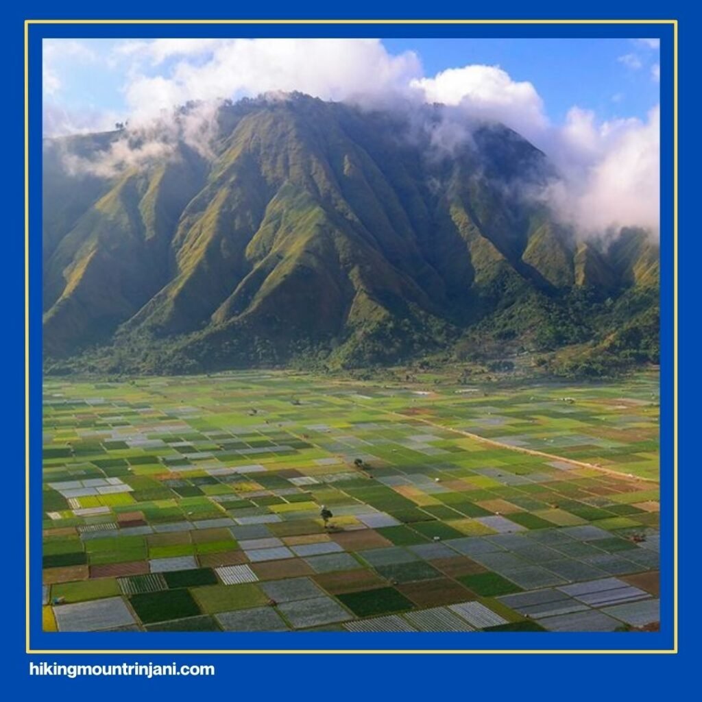 Pintu Masuk Rinjani - Hiking Mount Rinjani
