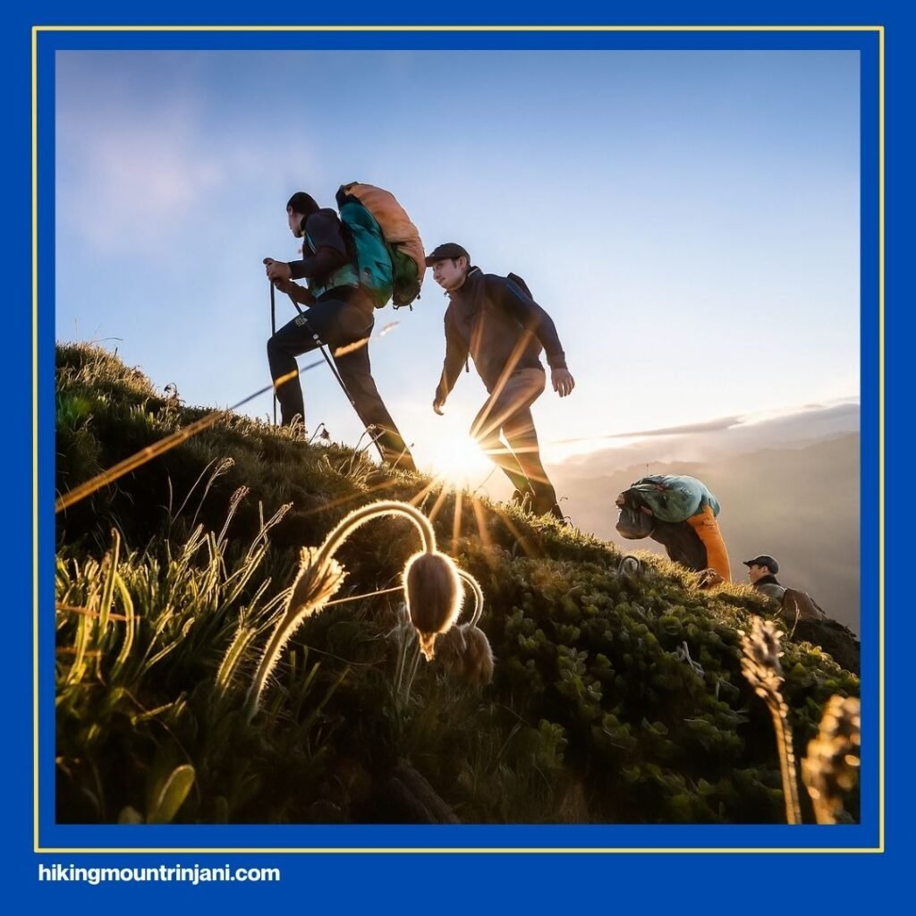 The Best Rinjani Hiking Agency - Hiking Mount Rinjani