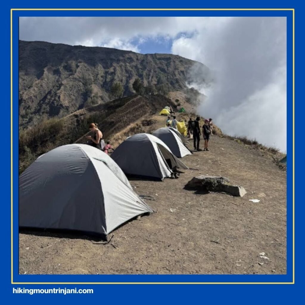 Want a Safer Hike Check Out These Trekking Organizers