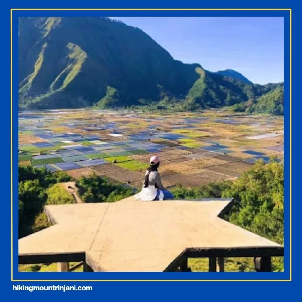 Wisata Bukit Selong Rinjani - Hiking Mount Rinjani
