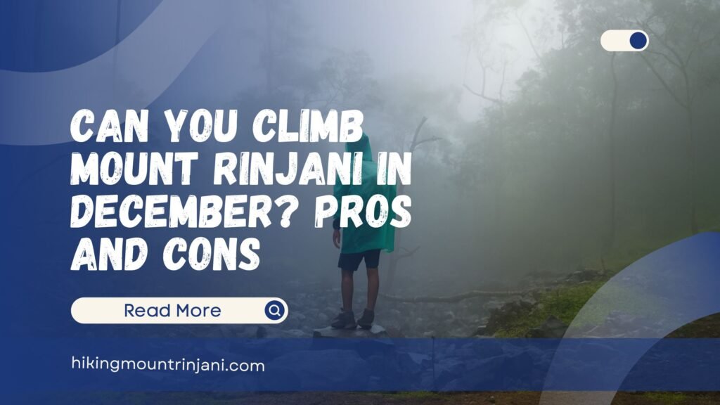 Can You Climb Mount Rinjani in December Pros and Cons