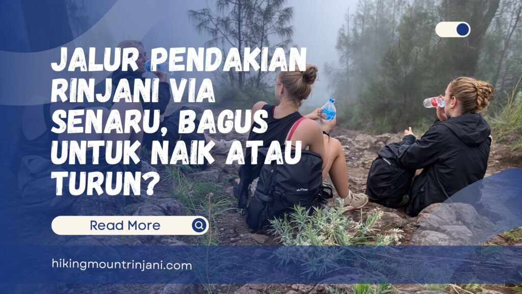 Jalur Pendakian Rinjani Via Senaru, Bagus Untuk Naik Atau Turun