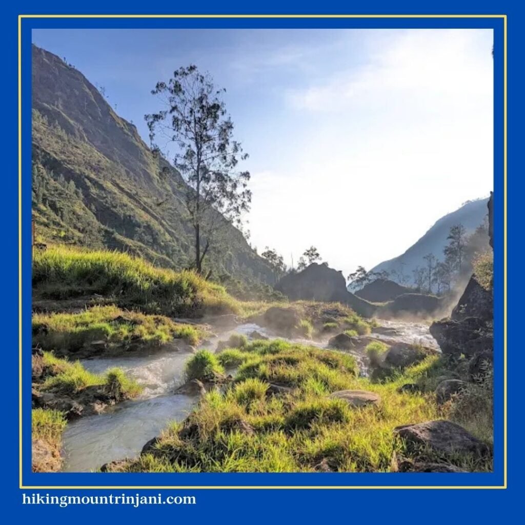 Jalur Pendakian Torean