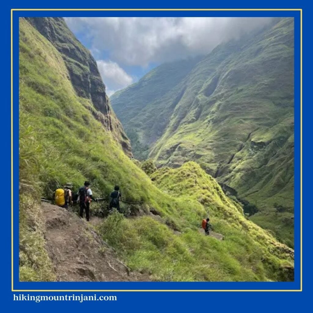 Panjang Jalur Torean Rinjani