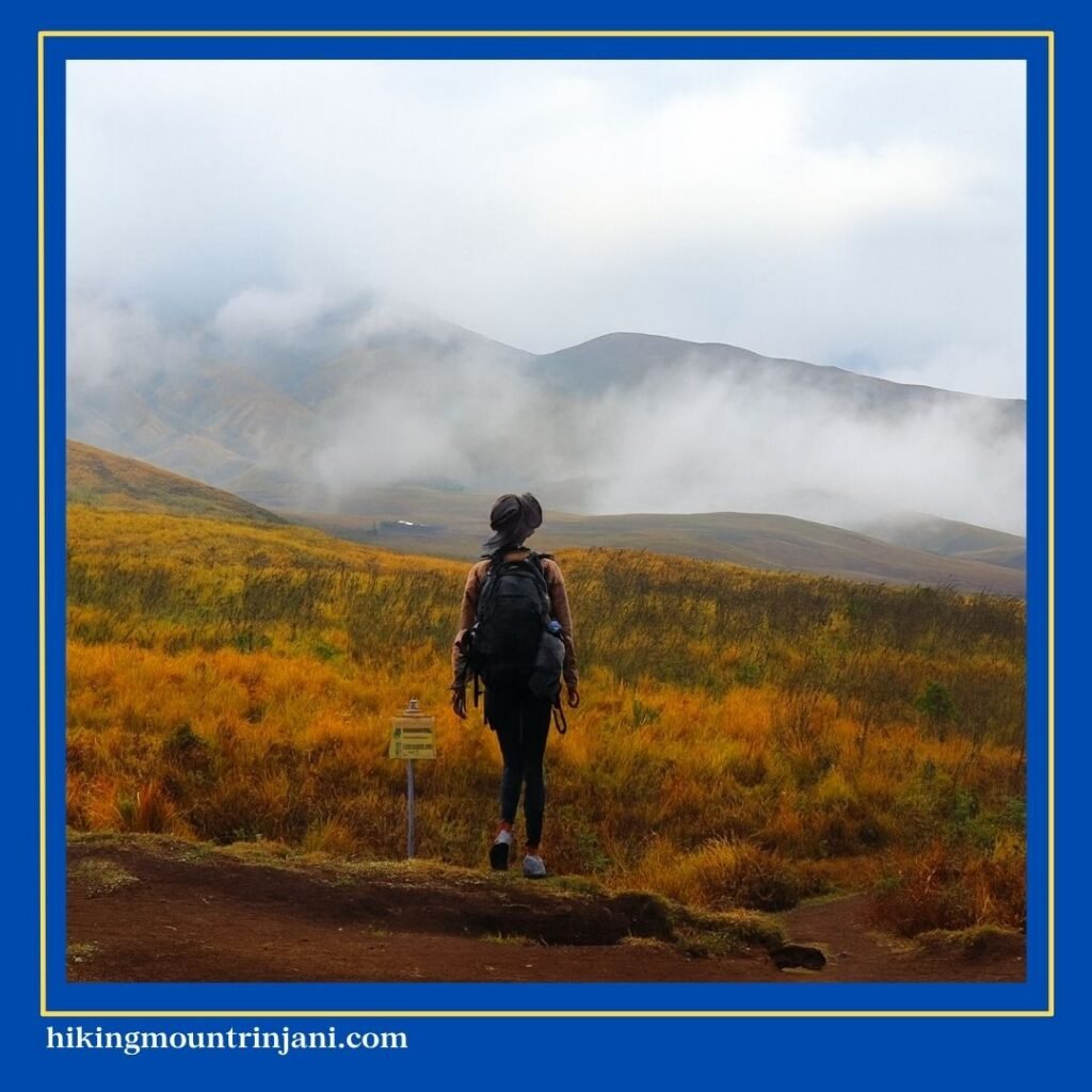 Sadari Kemampuan Diri Sebelum Tektok Gunung Rinjani