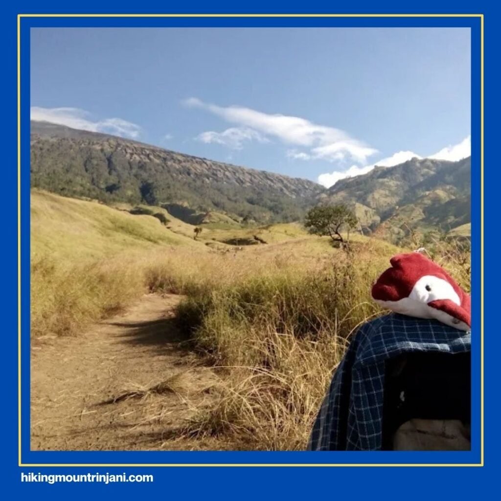 Trek Rinjani Berapa Km Via Sembalun