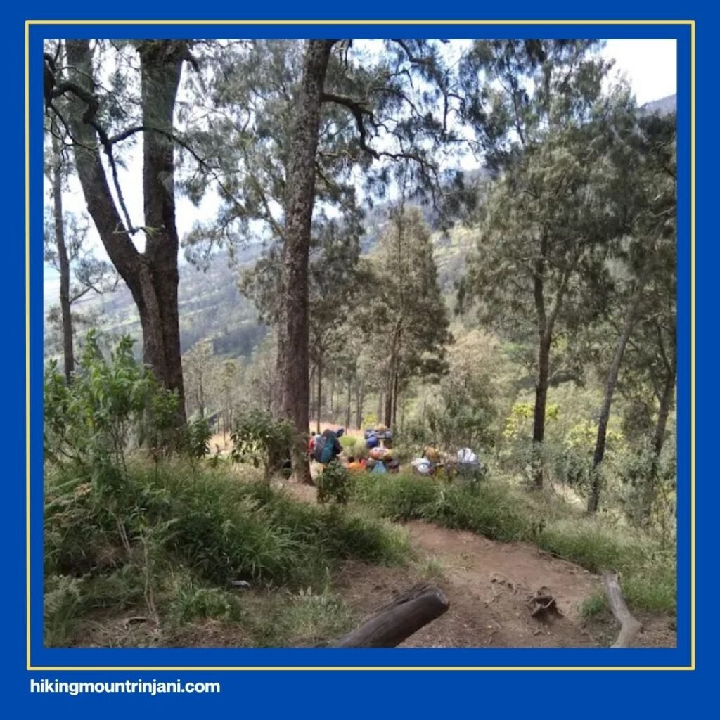Trek Rinjani Berapa Km Via Senaru
