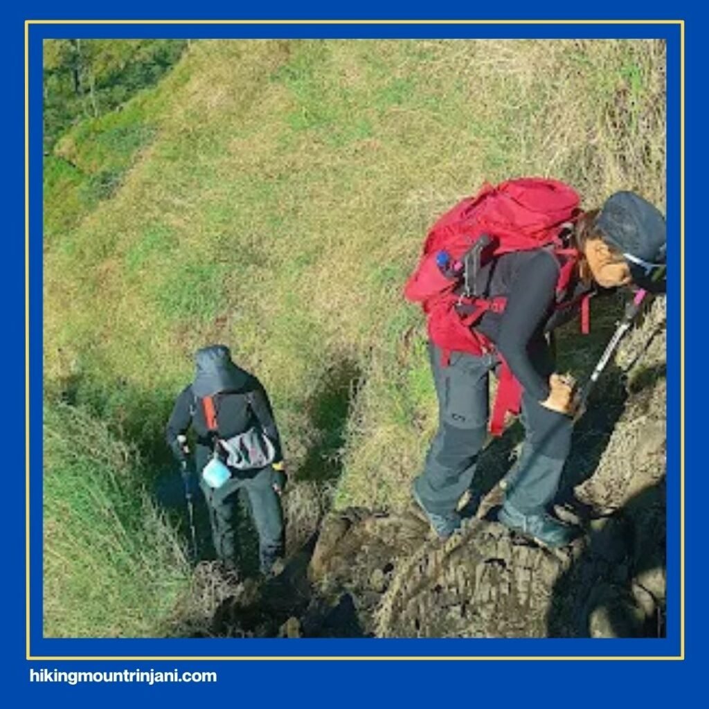 Trek yang direkomendasikan