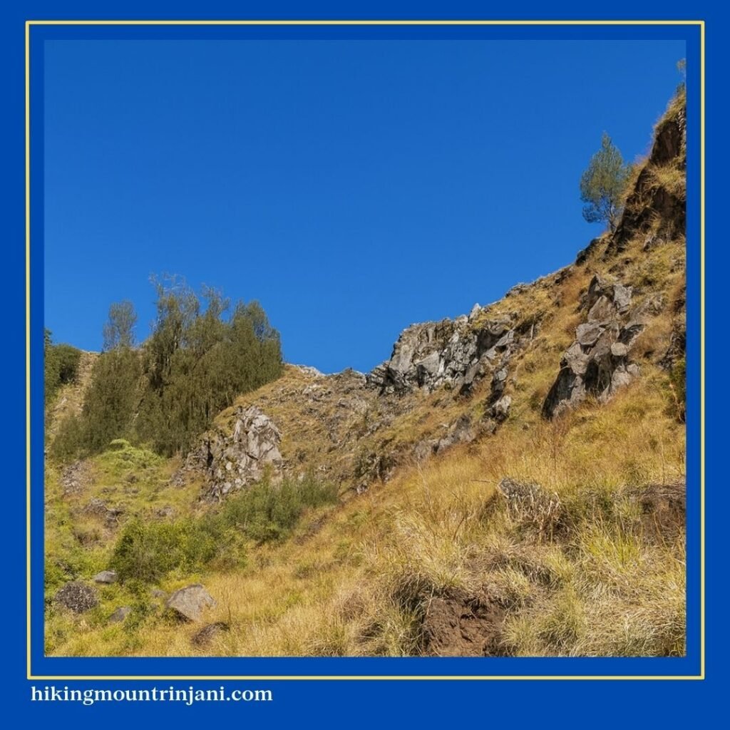 Gunung Rinjani Via Senaru