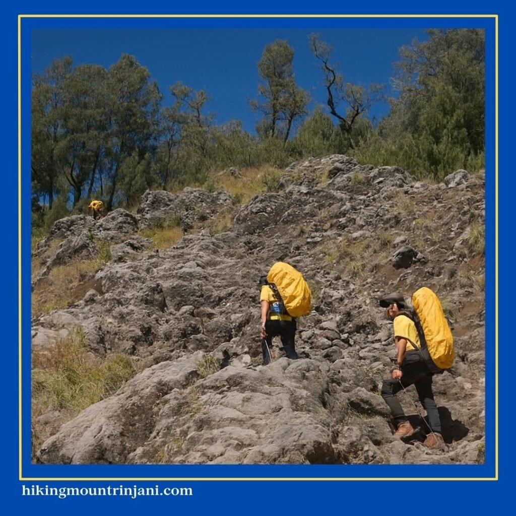 Jalur Rinjani Via Senaru Pos 4