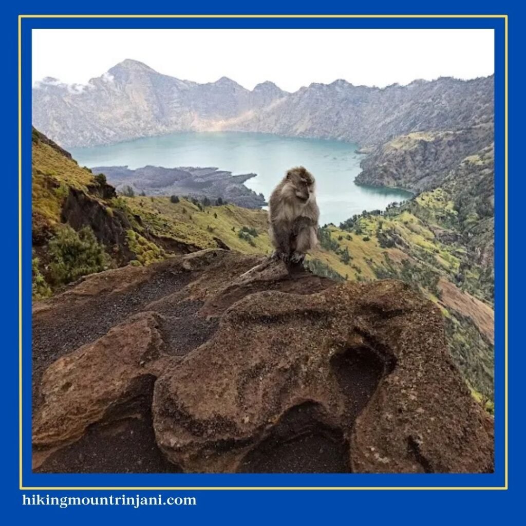 Apakah Pendakian Gunung Rinjani 2 atau 3 Hari - Hiking Mount Rinjani